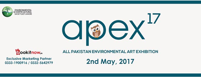 Apex'17 -All Pakistan Environmental Art Exhibition